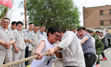 2019�깫˾��17�����\(y��n)��(d��ng)��(hu��)